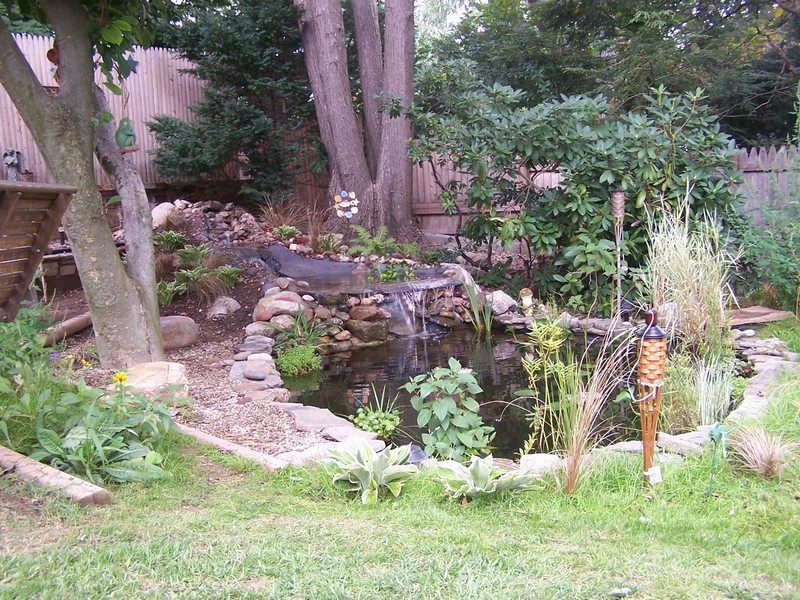pond image