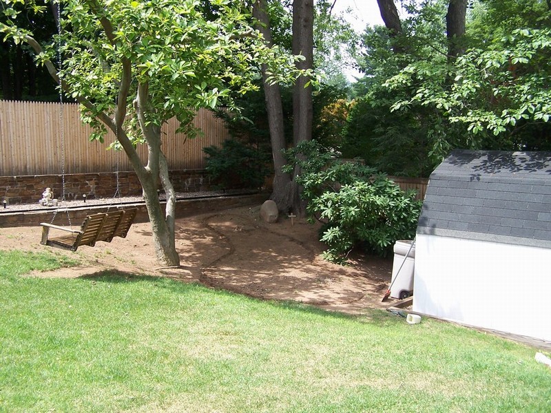 pond 001
