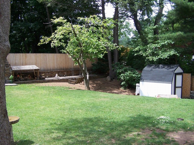pond 002