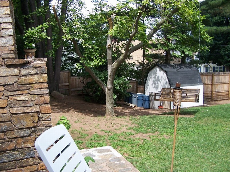 pond 003
