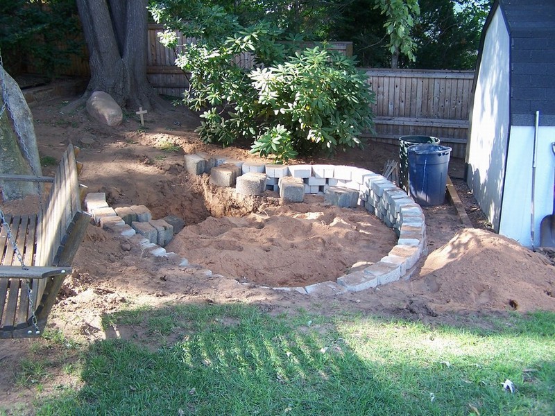 pond 009