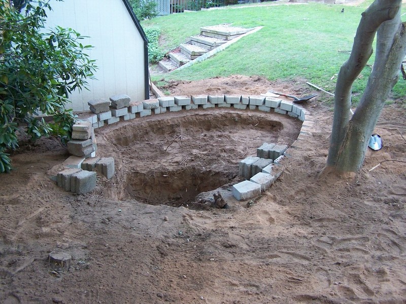 pond 011