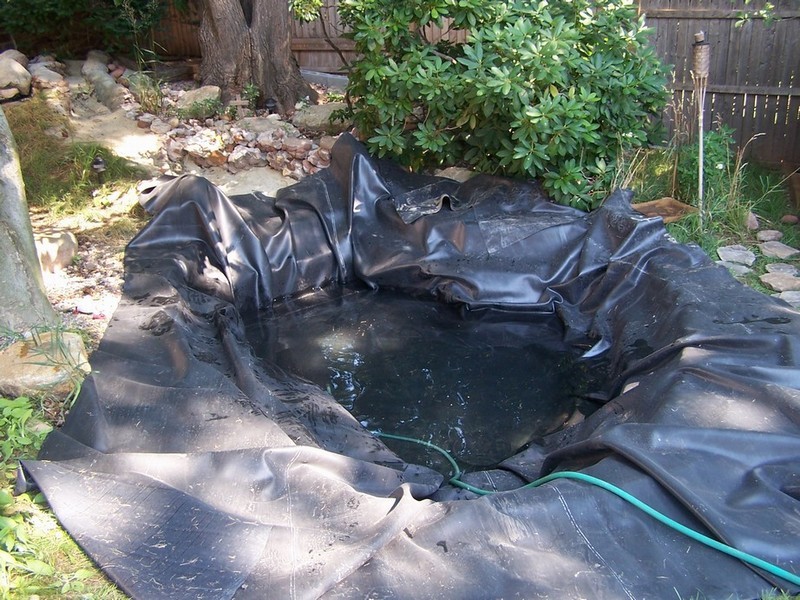 pond039