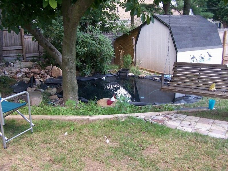 pond041