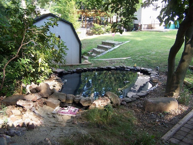 pond044
