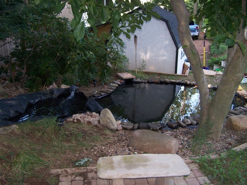 pond046
