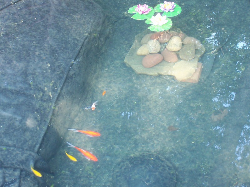 pond056