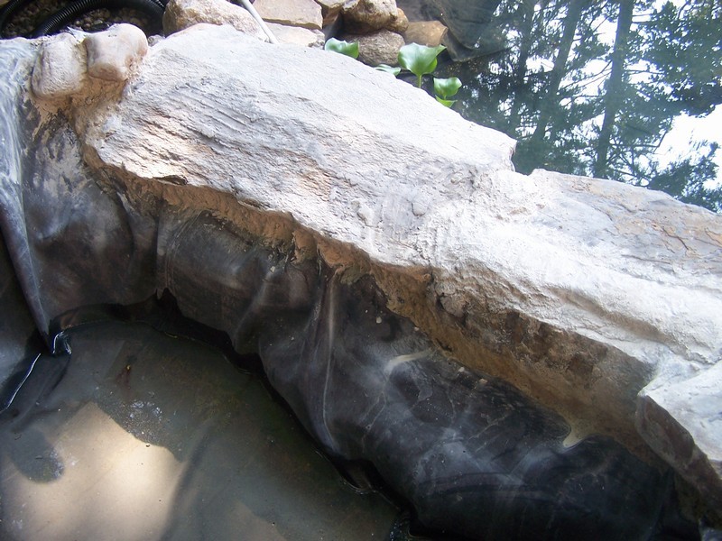 pond059