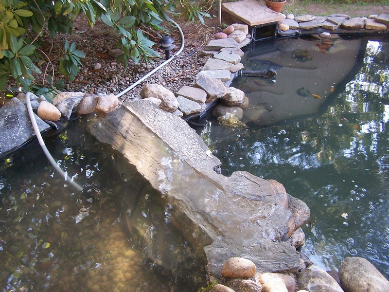 pond061