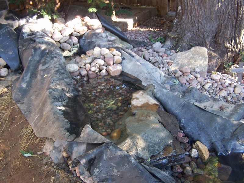 pond062