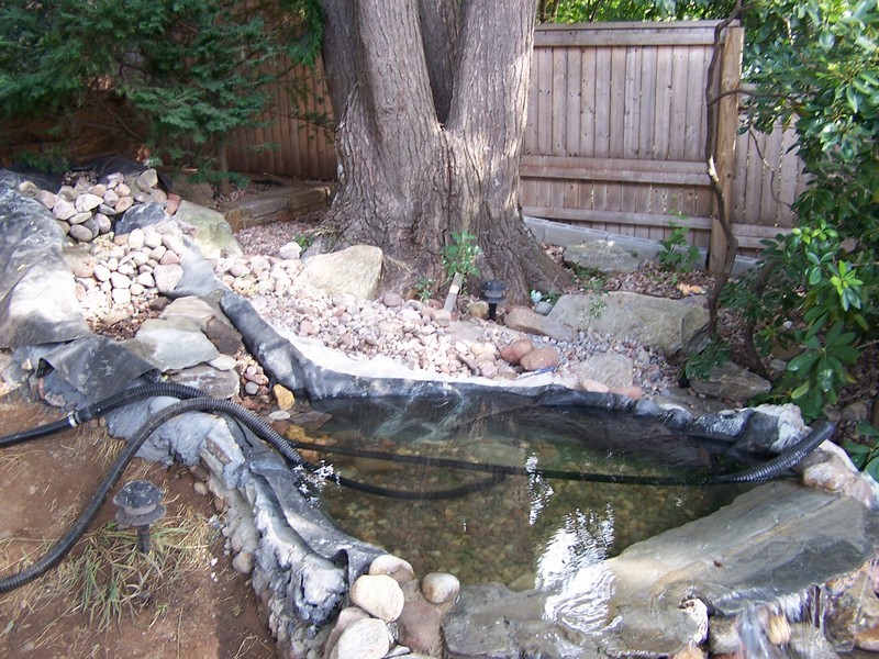 pond063