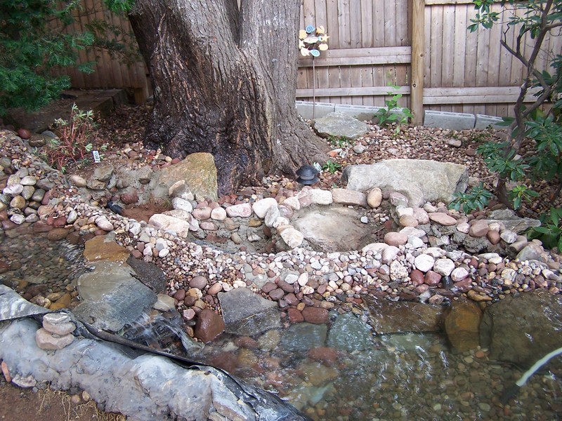 pond064