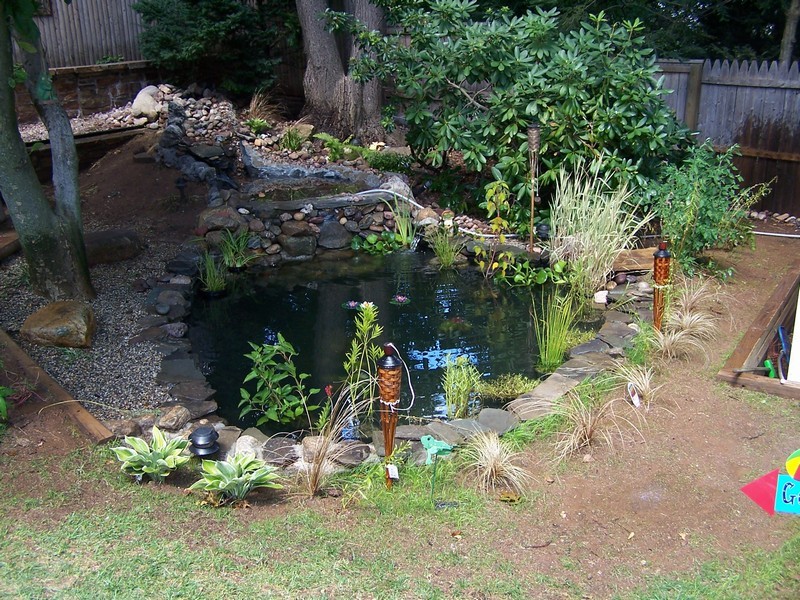 pond069