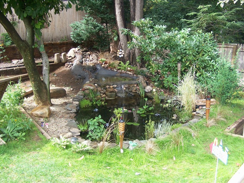 pond074