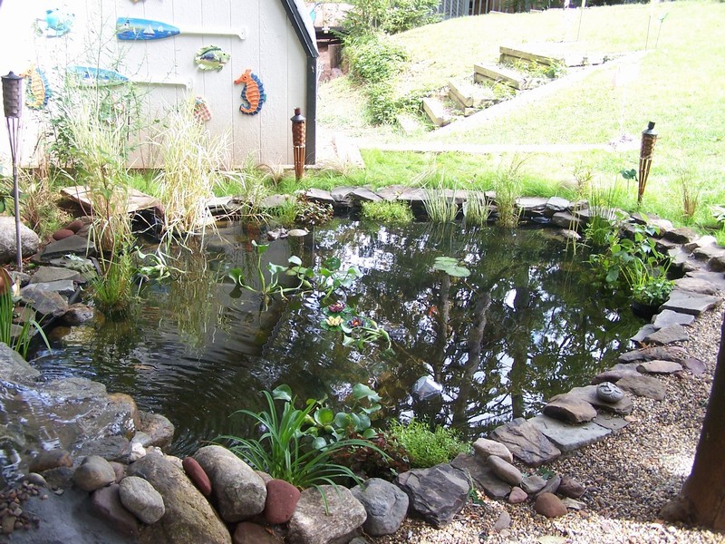 pond075