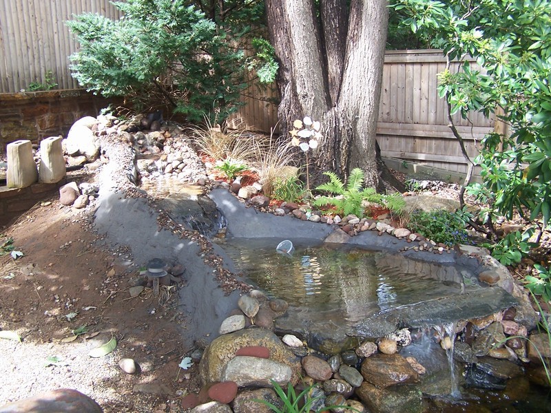 pond076