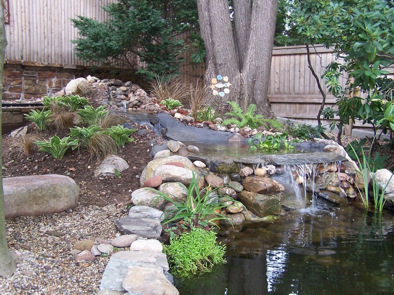 pond081