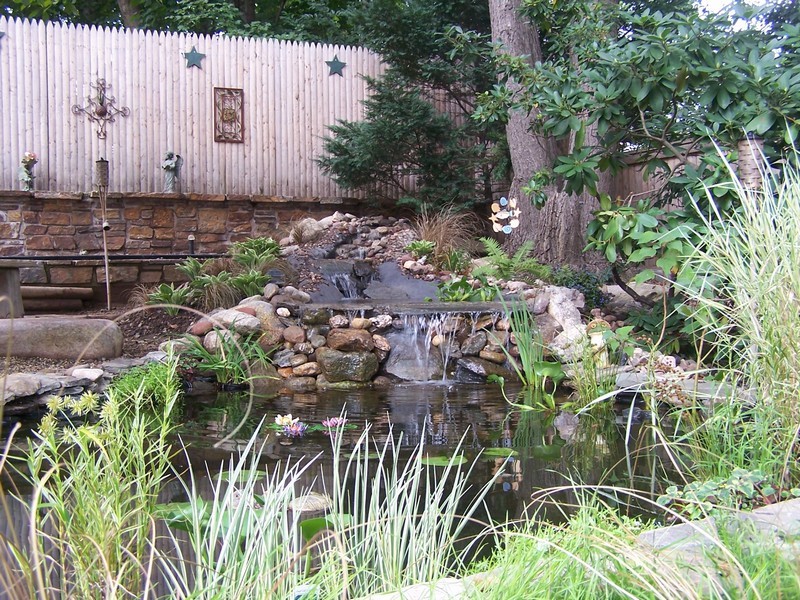 pond082