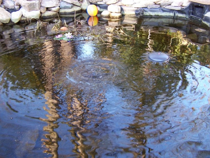 pondwinter2