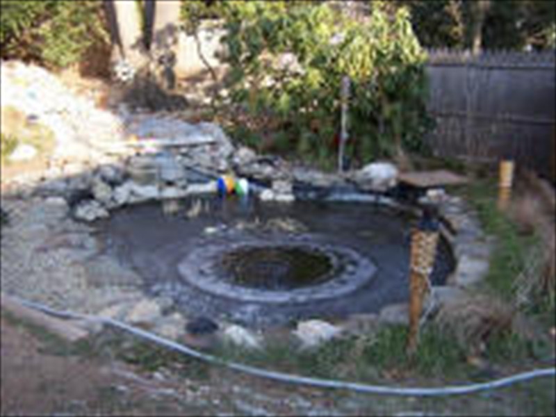 pondwinter6